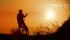 “SERENITY NOW, SERENITY NOW!!” STRESS GOTCHA DOWN ITS A GREAT FEELING TO KNOW THAT AT THE END OF A RIDE YOU FEEL LESS STRESSFUL.