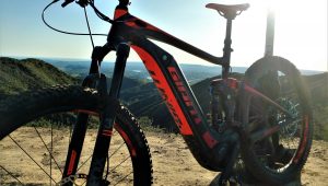 2017 GIANT FULL-E+ 1