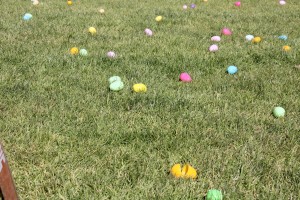 Easter Egg Hunts